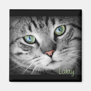 Personalise a Magnet with your Favourite Pet!