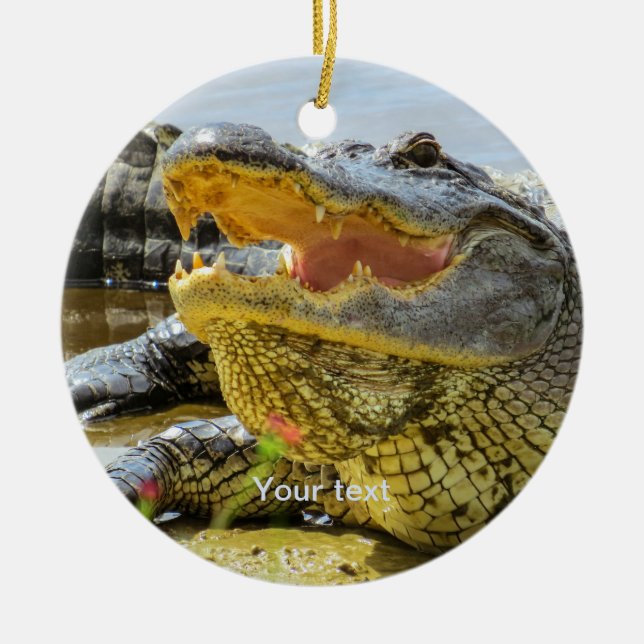 Personalise American alligator portrait photograph Ceramic Tree Decoration (Front)