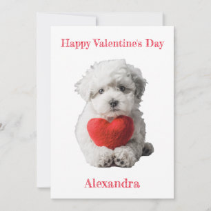 Personalise Bichon Frise Puppy Valentine Holiday Card