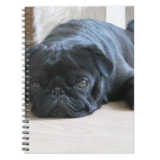 Personalise cute black Pug Puppy accessories name Spiral Notebook