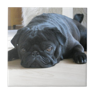 Personalise cute black Pug Puppy accessories name Tile