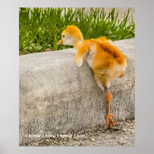 Personalise cute chick "I know I can. I know I can Poster