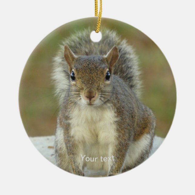 Personalise Cute Squirrel face to face photography Ceramic Tree Decoration (Front)