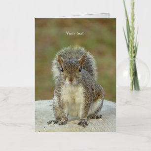 Personalise Cute Squirrel face to face photography Foil Greeting Card