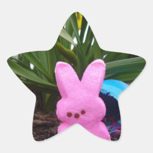 Personalise Easter Bunny Peace Love Art Destiny Star Sticker