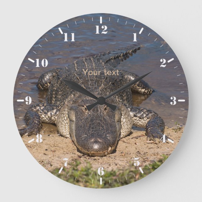 Personalise Face to Face with the Alligator Large Clock (Front)