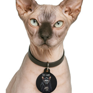 Personalise Grim Reaper Sphynx Cat Funny Pet Tag