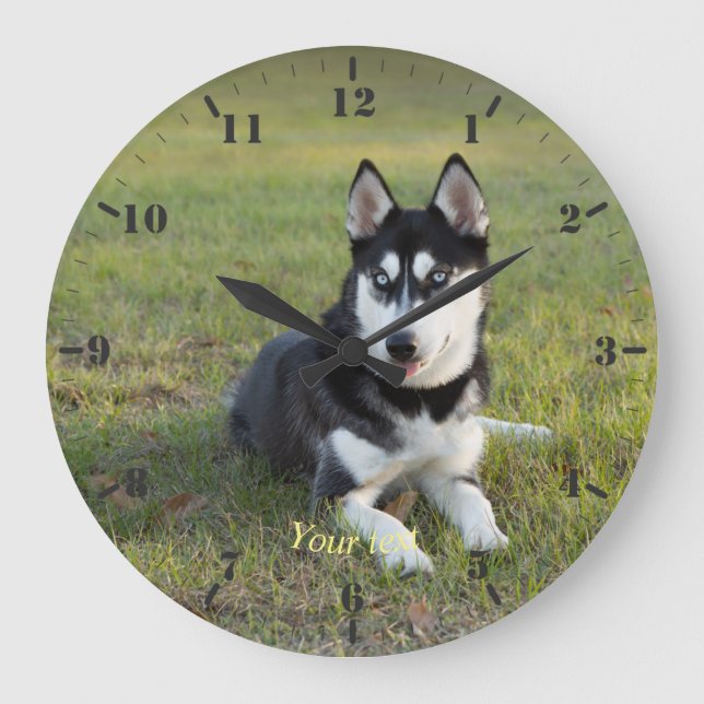 Personalise Happy playful Siberian Husky puppy Large Clock (Front)