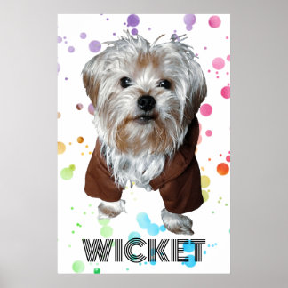 Personalise It! Colourful Dot Pet Photo & Name Poster