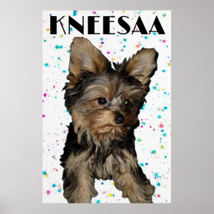 Personalise It! Floral Speckled Pet Photo & Name Poster