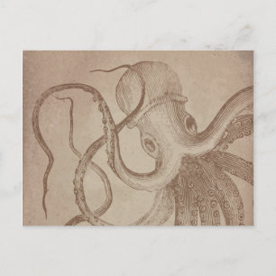 Personalise it old octopus sea Vintage Paper Postcard