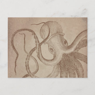 Personalise it | old octopus | sea Vintage Paper Postcard