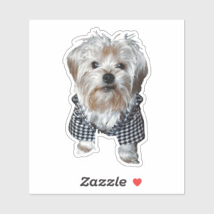 Personalise It! Pet Photo