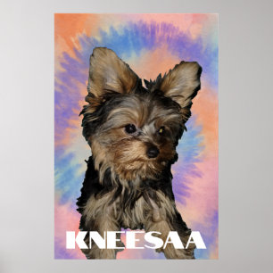 Personalise It! Tie Dye Pet Photo & Name Poster