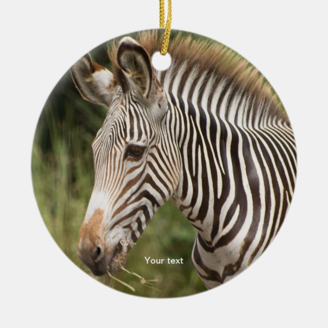 Personalise Juvenile Zebra Ceramic Tree Decoration (Front)
