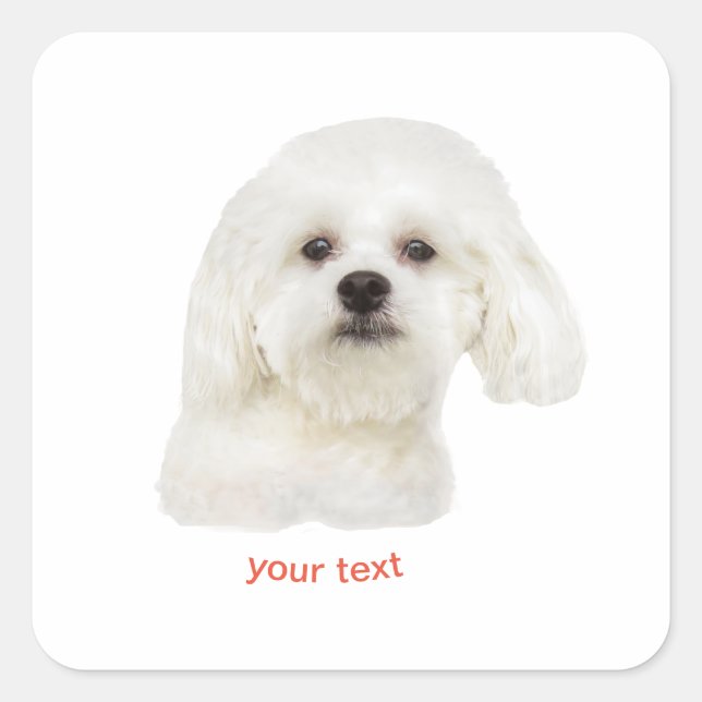 Personalise Maltese dog Square Sticker (Front)