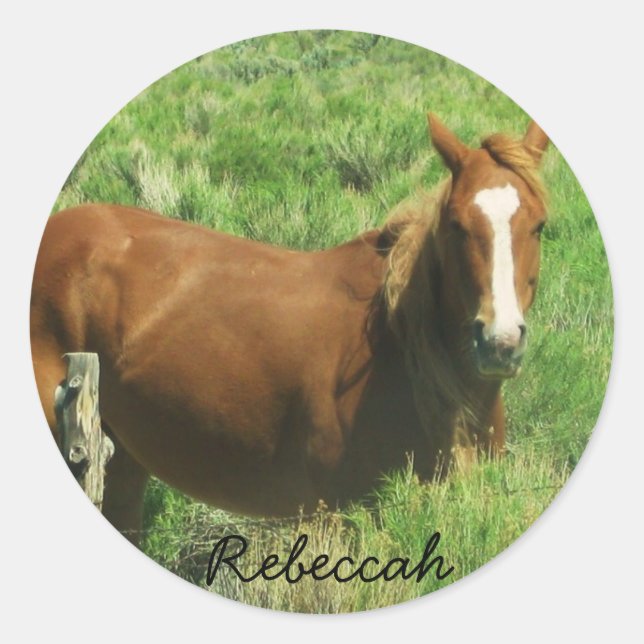 Personalise Name Horse Classic Round Sticker (Front)