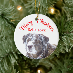 Personalise pet photo template ceramic tree decoration