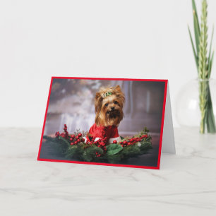 Personalise Pet Photo Upload A Favourite Add Names Holiday Card