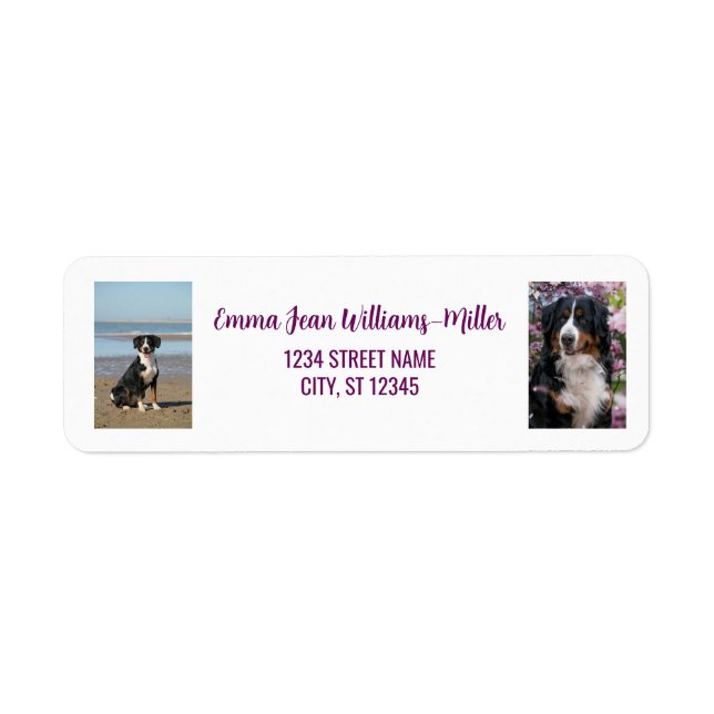 Personalise Photos w/ Dog Modern Return Address (Front)