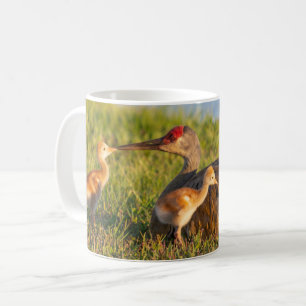 Personalise Sandhill cranes love to its chicks Coffee Mug