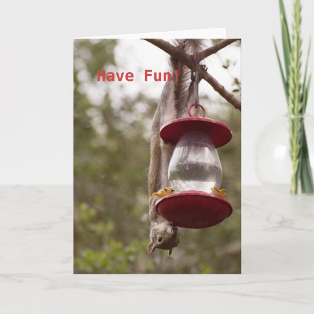 Personalise Squirrel upside down on the feeder Card (Front)