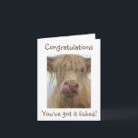 Personalise Text Funny Cow Card<br><div class="desc">Click 'Personalise this template' above to change to your own message - Fun Highland Cow</div>