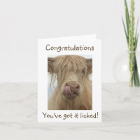 Personalise Text Funny Cow Card