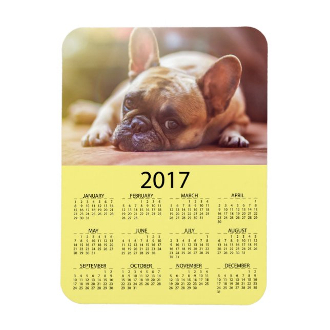 Personalise this 2017 Mini Refrigerator Calendar Magnet (Vertical)