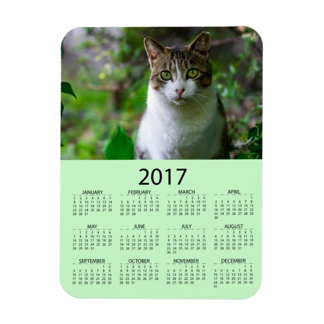 Personalise this Green Photo 2017 Mini  Calendar Magnet (Vertical)