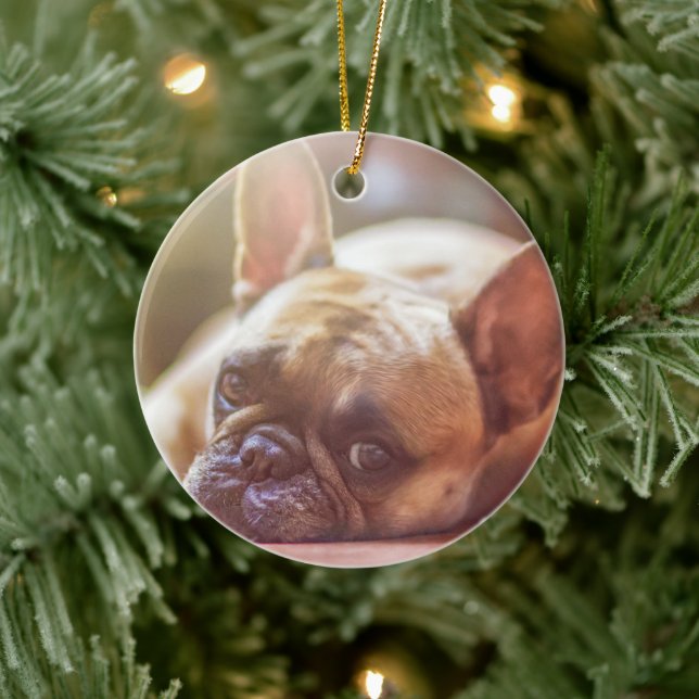 Personalise this Ornament with you Pet's Picture (Tree)