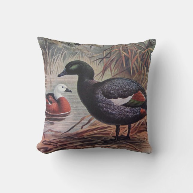 Personalise Vintage Paradise Shelduck Cushion (Front)