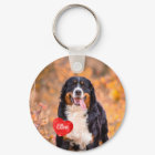 Personalised 2 Photo Pet Dog Lover