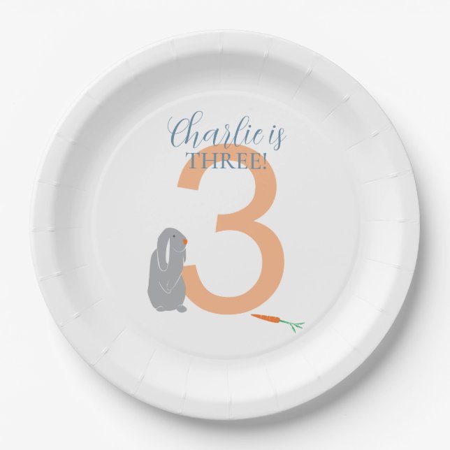 Personalised 3rd Birthday Modern Grey Bunny Plates (Front)