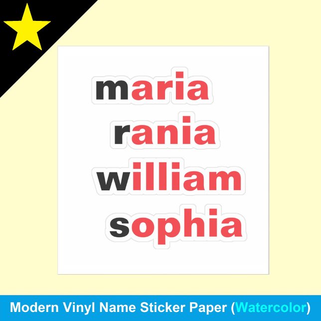 Personalised 4 Names, Novelty Fun Gift Stickers (Personalized vinyl name stickers
)
