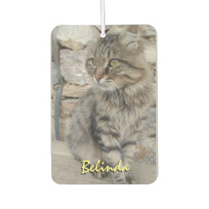 Personalised Add Name and Photo Car Air Freshener