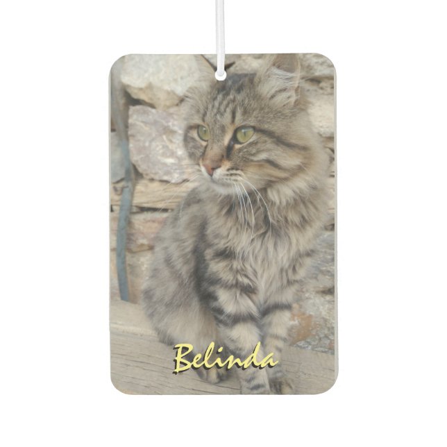 Personalised Add Name and Photo Car Car Air Freshener (Front)