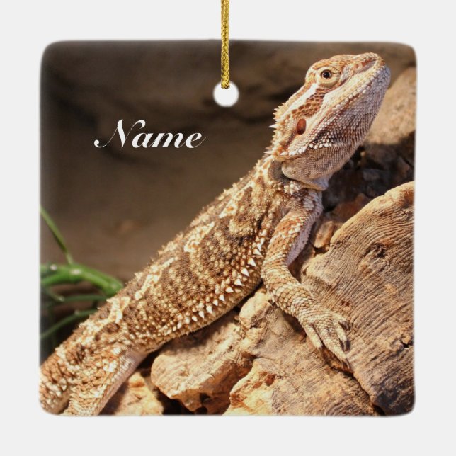 Personalised Baby Bearded Dragon Lizard Ceramic Ornament (Back)