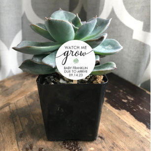 Personalised Baby Shower Succulent Favour  Classic Round Sticker