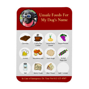 Personalised Bad Foods For Dogs Reminder Magnet