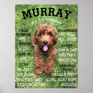 Personalised BARKday Dog Birthday Party Milestone Poster