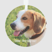 Personalised Beagle Dog Photo and Dog Name Ornament (Back)