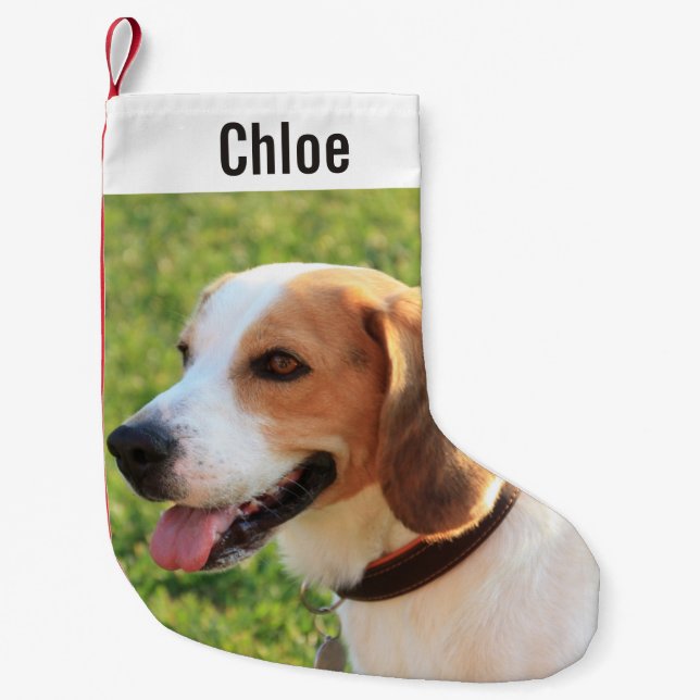 Personalised Beagle Dog Photo and Dog Name Small Christmas Stocking (Front)