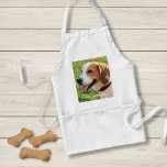 Personalised Beagle Dog Photo and Dog Name Standard Apron<br><div class="desc">Personalised Beagle Dog Photo and Dog Name design - customise this keepsake with an uploaded photo of your Beagle the dog's name or add your own text - We love "dog's name", dog's birthday or day of passing. Just click on "customise" to add your personalised text, change the font and...</div>