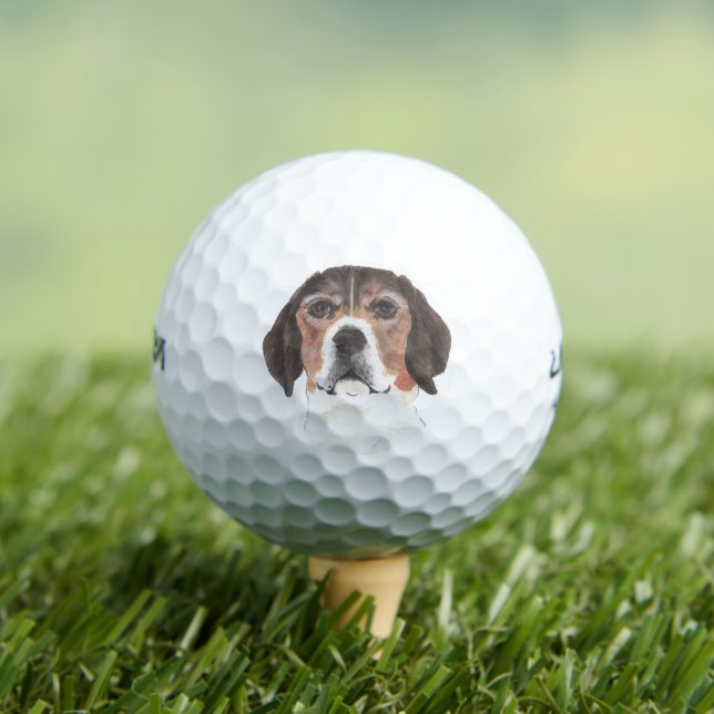 Personalised Beagle Golf Balls (Insitu Tee)
