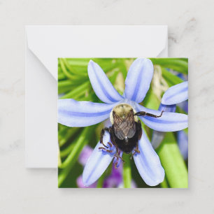Personalised bee in flower mini notecards
