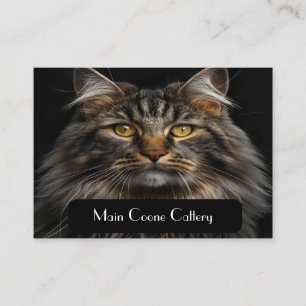 Personalised Black Business Card for Cattery