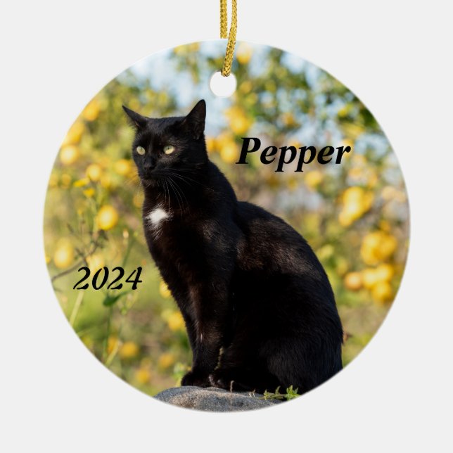 Personalised Black Cat Ceramic Tree Decoration (Front)