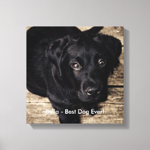 Personalised Black Lab Dog Photo and Dog Name Canvas Print