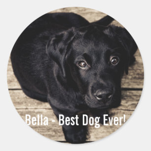 Personalised Black Lab Dog Photo and Dog Name Classic Round Sticker